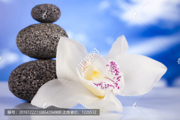 自然健康
