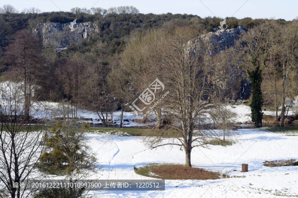 鄉(xiāng)村雪景