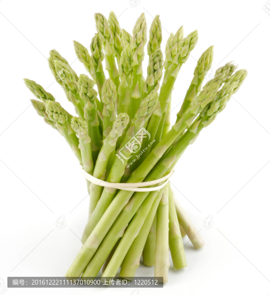 白背景上的蘆筍芽