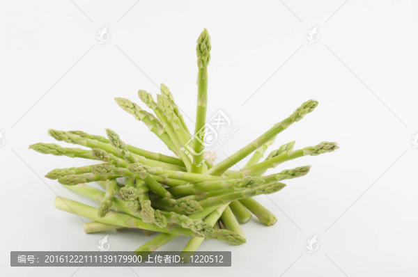 白背景上的蘆筍芽