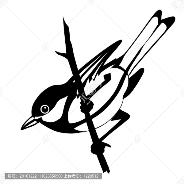 白色背景上鳥(niǎo)的剪影