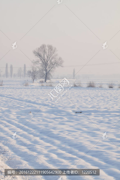 雪景