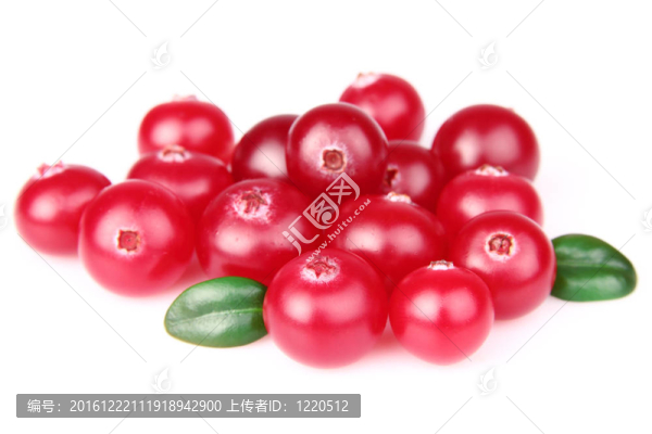 甜的蔓越莓