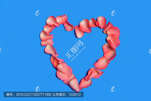 美麗的粉紅色玫瑰花瓣心