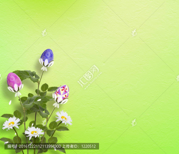 柔和的背景與五顏六色的雞蛋花慶祝