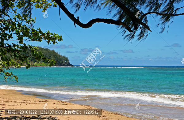 熱帶海灘的海岸線