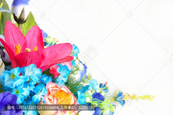 塑料花設計