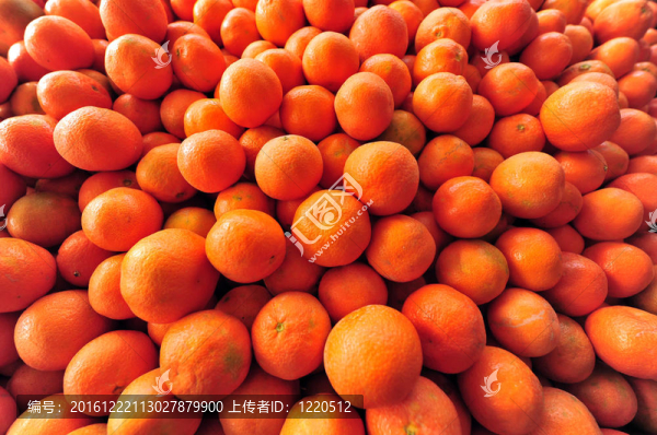 食品與烹飪-水果