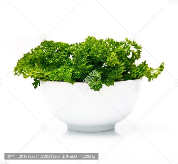 新鮮香菜