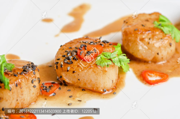 扇貝
