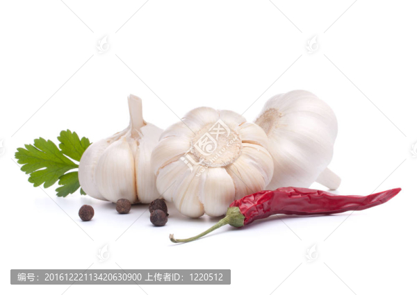 大蒜鱗莖
