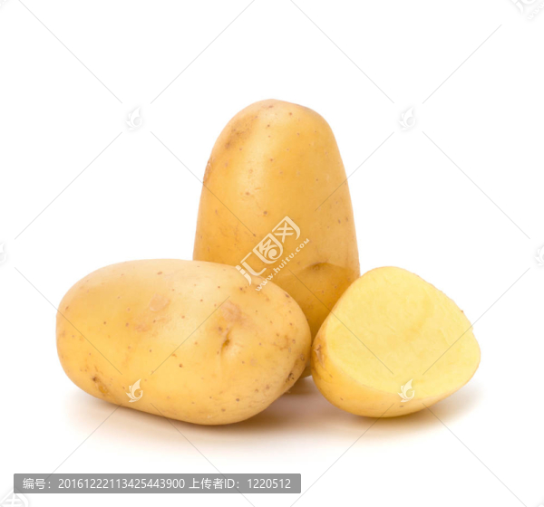 新土豆