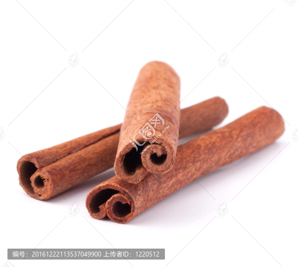 白色背景上的肉桂枝