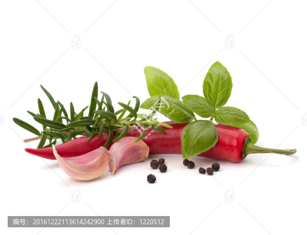 Chili,pepper與香料藥草