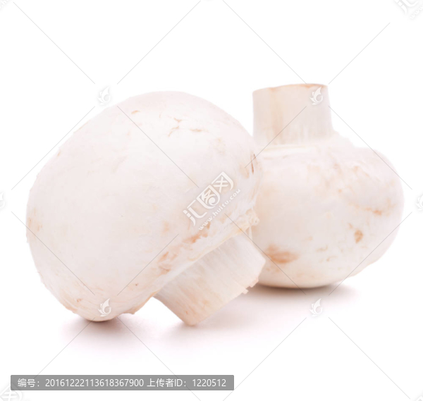 香菇蘑菇