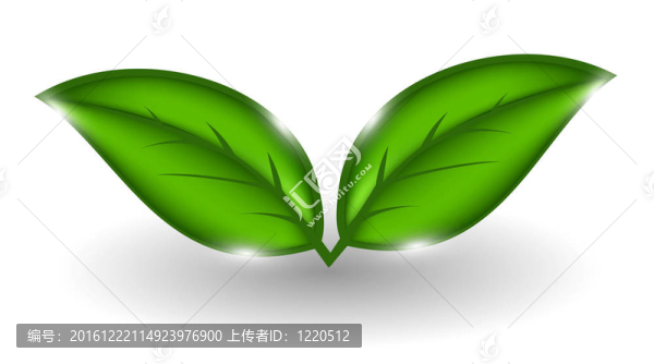 植物環(huán)境背景。插畫