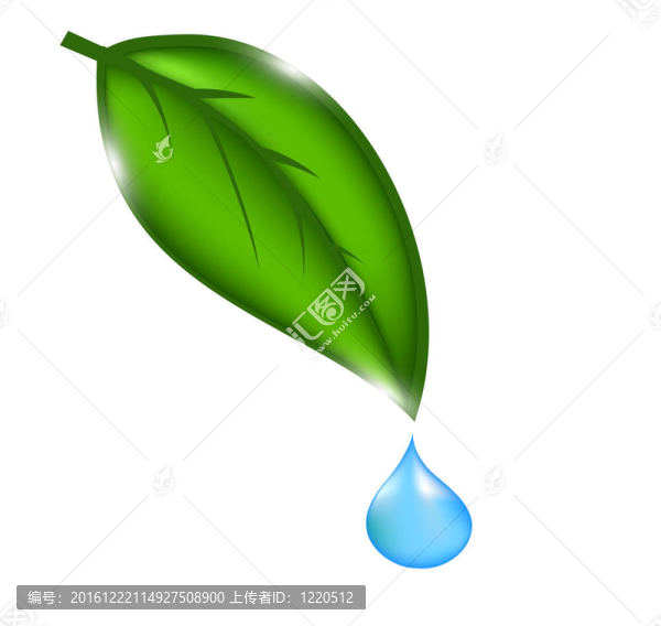 綠葉水滴。插畫(huà)