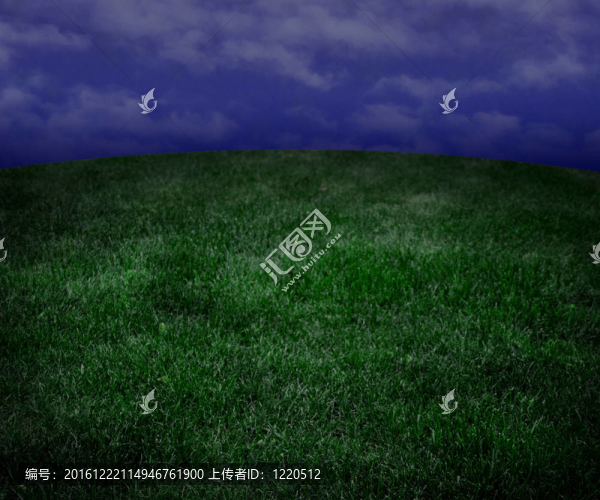 夜綠草草甸背景