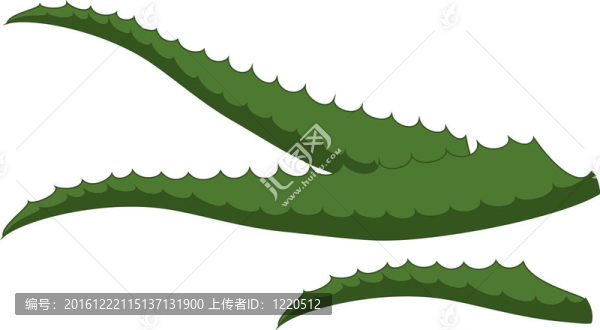 蘆薈