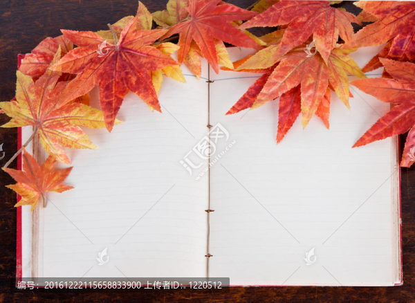 開(kāi)放的老書(shū)和人工秋天的楓葉