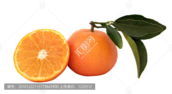 在白色背景的Tangerine夜店及其部分分離