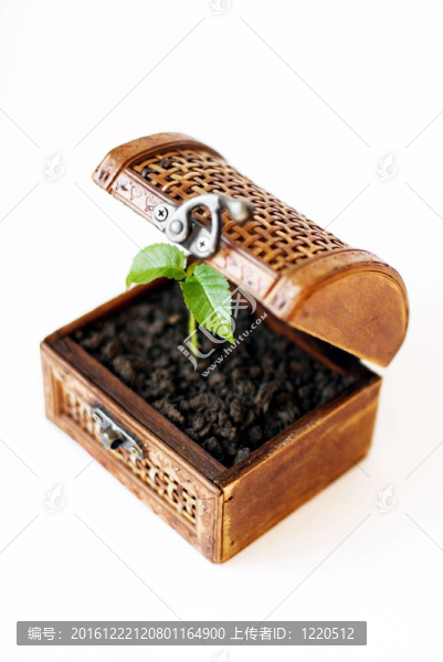 寶箱