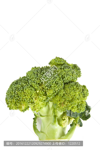 新鮮的西蘭花