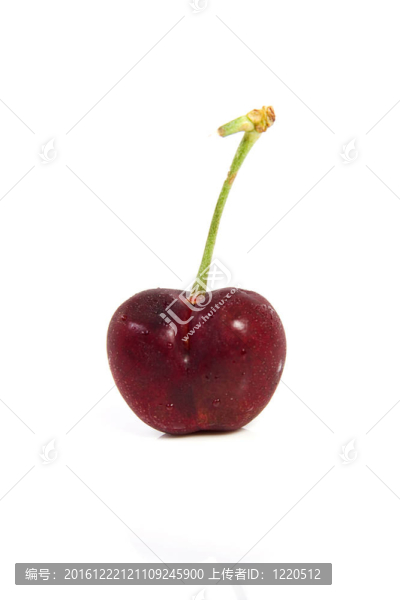紅櫻桃的露珠