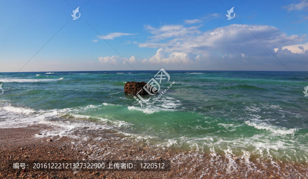 沖浪波