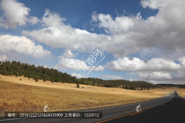 道路與黃色田野