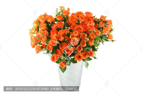 玫瑰的花束