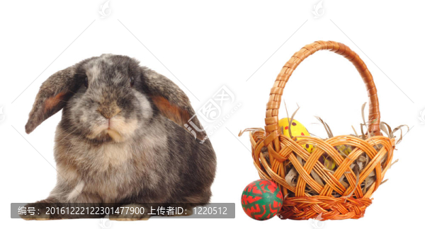 復(fù)活節(jié)彩蛋兔子和籃子