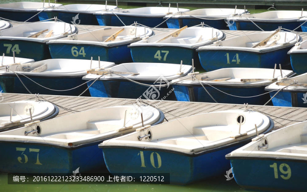 湖上的船