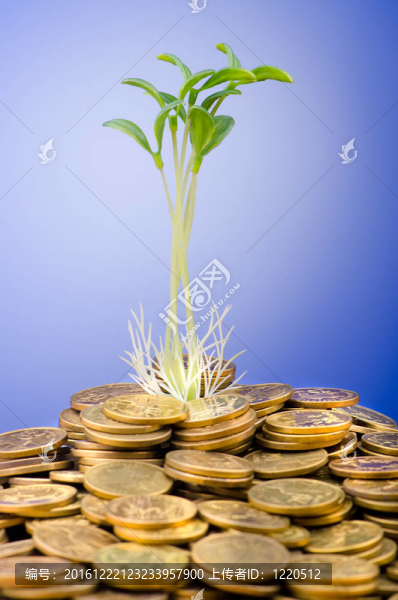 苗木金融概念