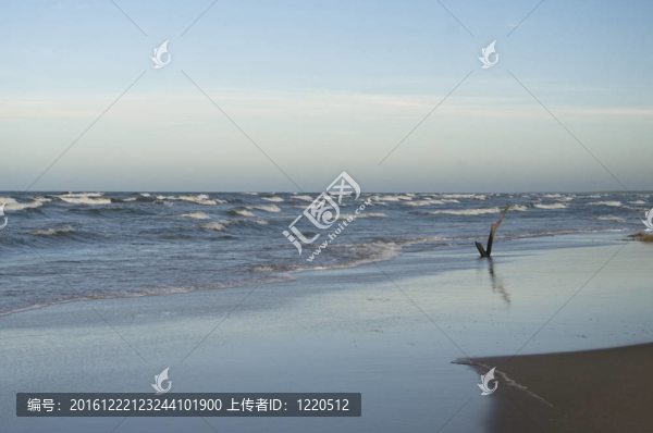 波羅的海
