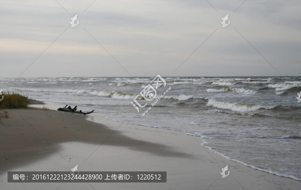波羅的海