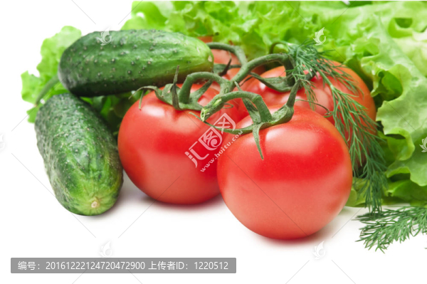 番茄；黃瓜和生菜沙拉