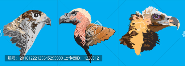 鷹在EPS抽象
