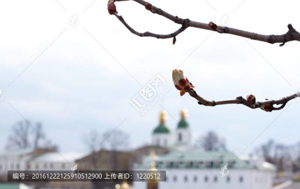 Pechersk,Lavra寺；基輔
