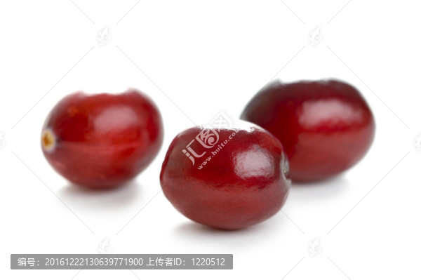 小紅莓的分離