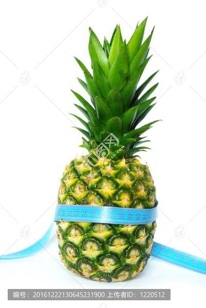 菠蘿