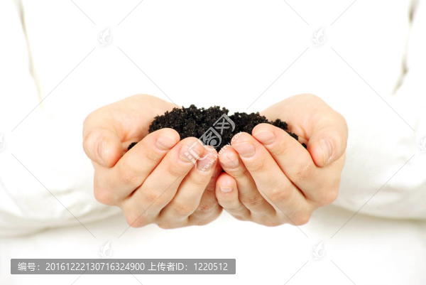 地球在手