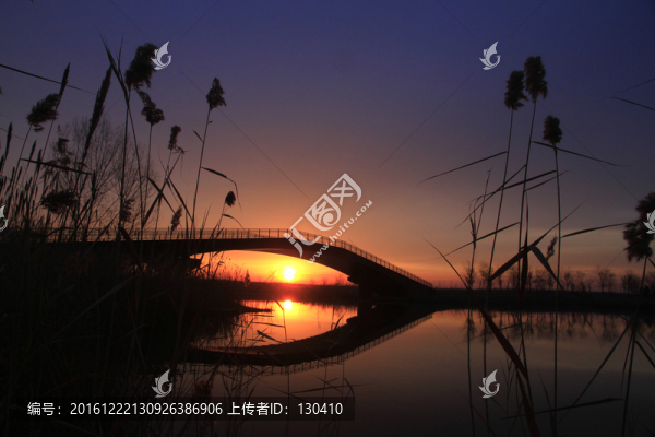 濕地晨韻