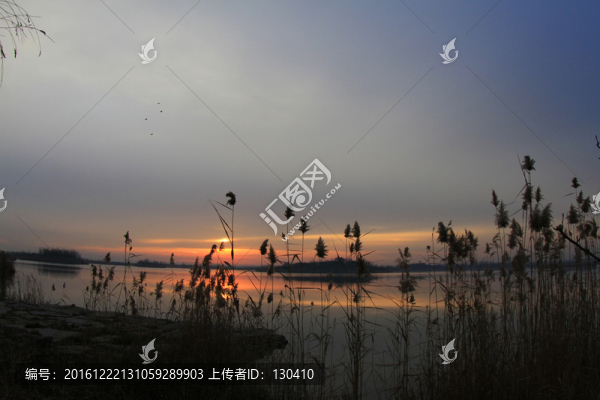 濕地風光