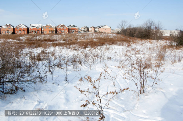 雪場