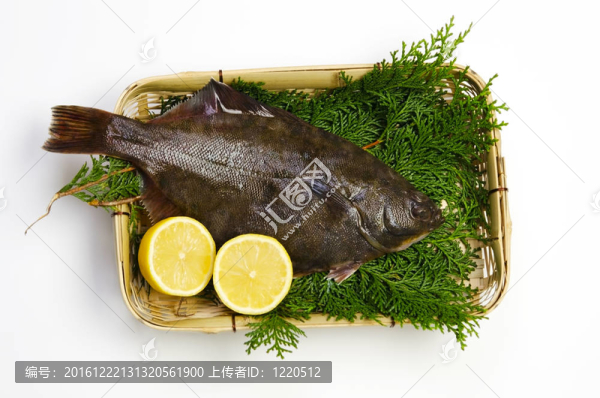 比目魚