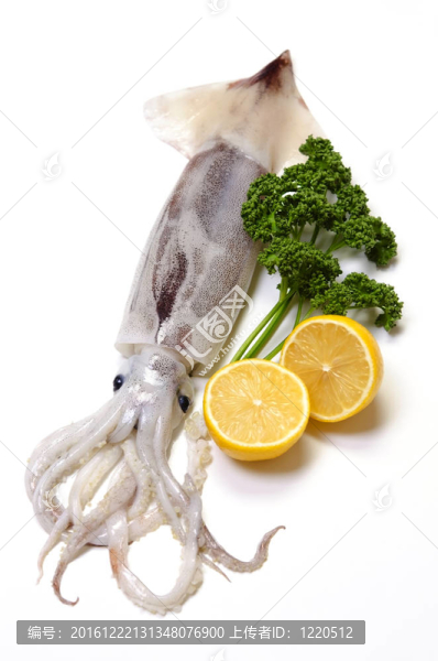 日本共同魷魚