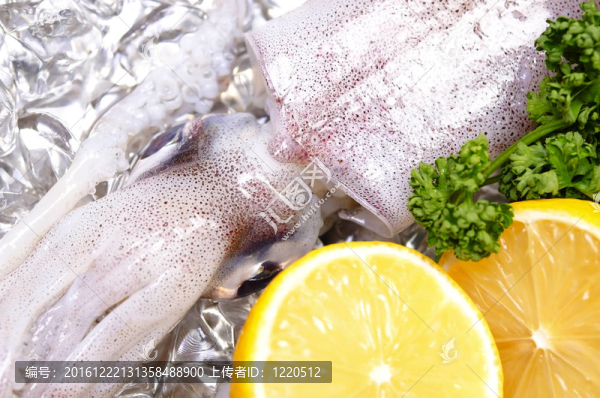 柔魚