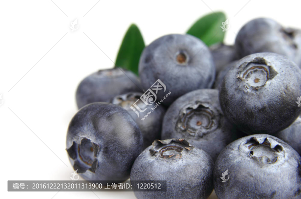 藍莓特寫