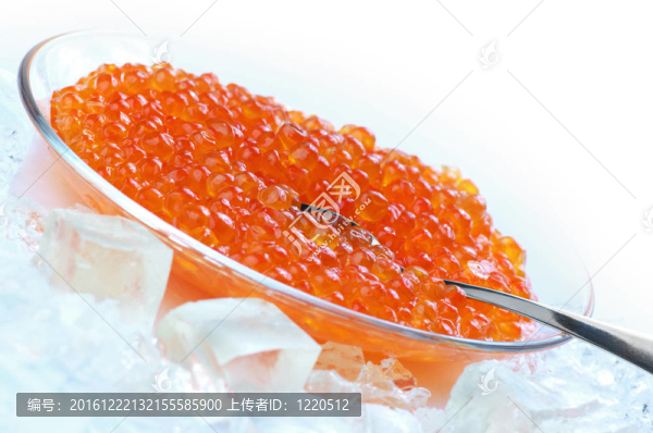 在冰的魚子醬鮭魚